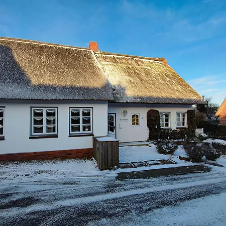 Daire Tide-hus